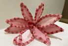 22" CANDY W/SNOWGLITTER POINSETTIA STEM PINK/RED - Sassy Inspiration