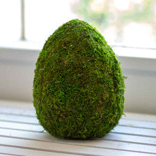 Moss Egg Decor 10”