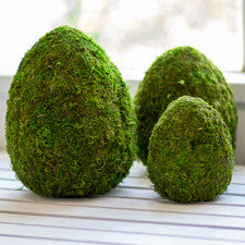 Moss Egg Decor 10”