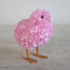 Hydrangea Chick in Pink
