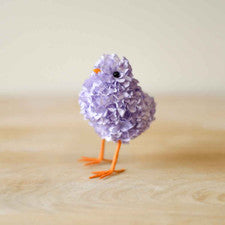 Hydrangea Chick in Purple