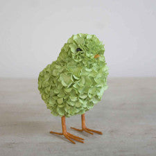 Hydrangea Chick in Green