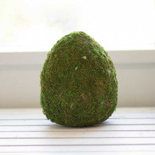 Moss Egg Décor 8"