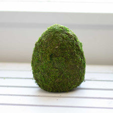 Moss Egg Décor 6"