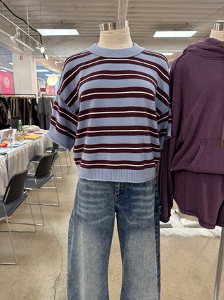 Color Me Cozy Striped Short Sleeve Sweater