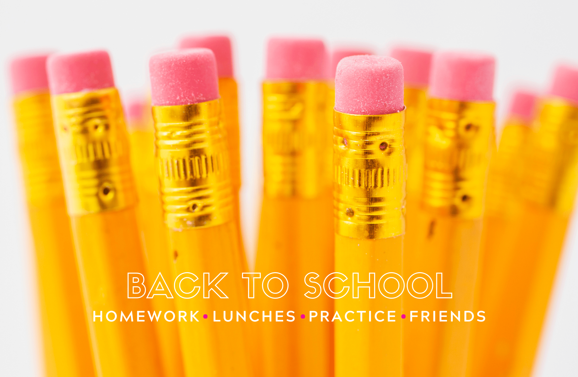 ALL YEAR LONG VOL 2 insert set of 12 - Sassy Inspiration