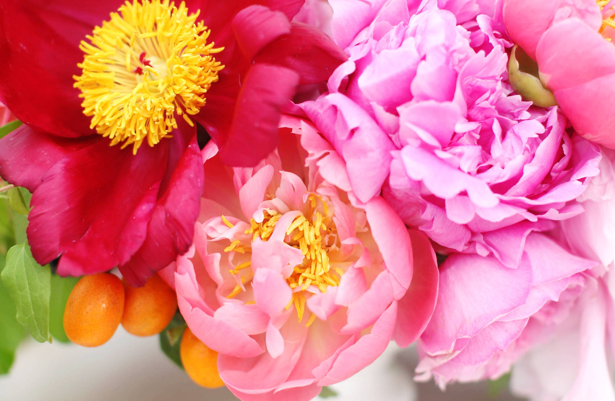 ALL YEAR LONG VOL 2 insert set of 12 - Sassy Inspiration