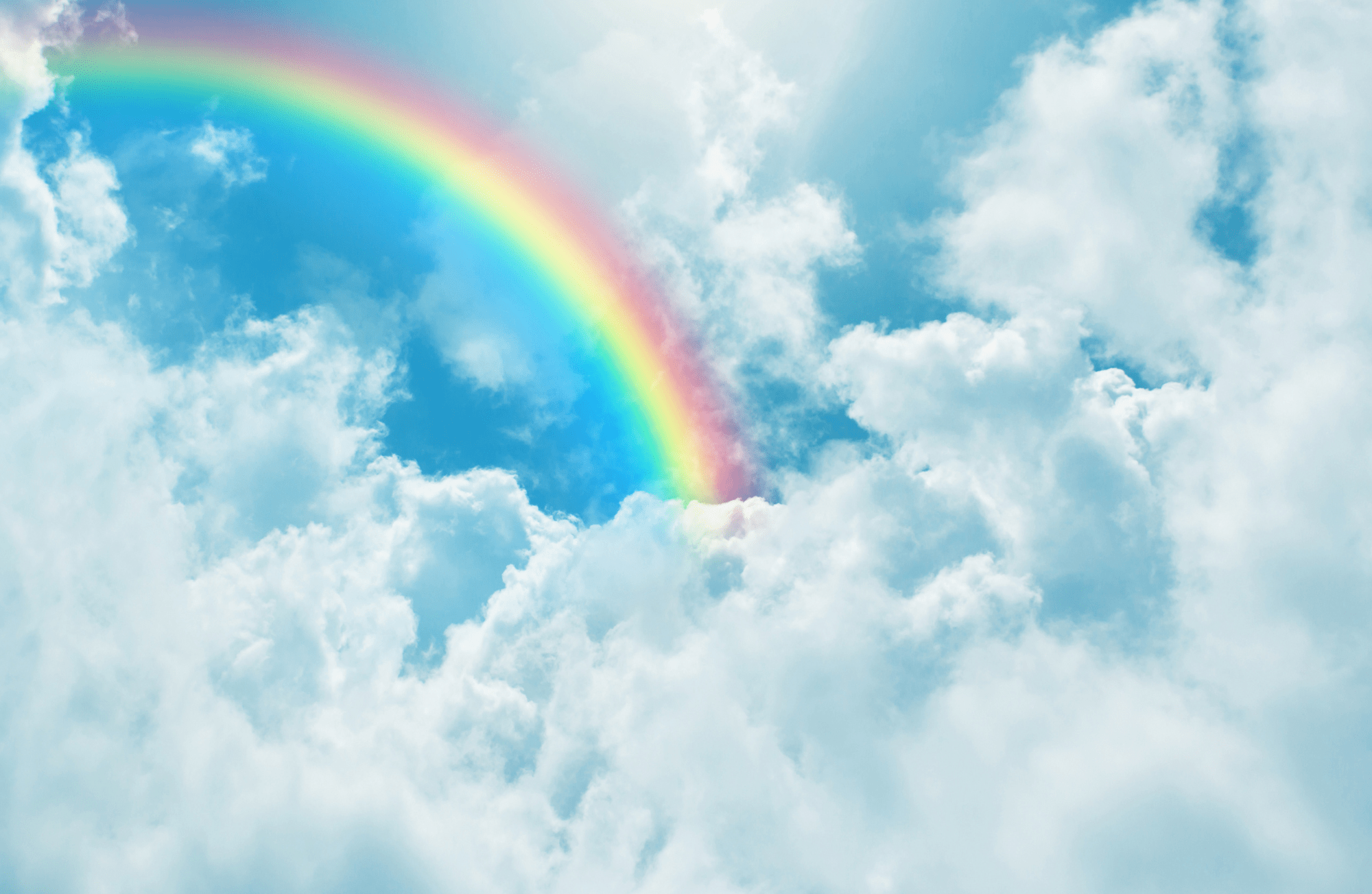 ALL YEAR LONG VOL 2 insert set of 12 - Sassy Inspiration