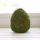 Moss Egg Décor 8" - Sassy Inspiration