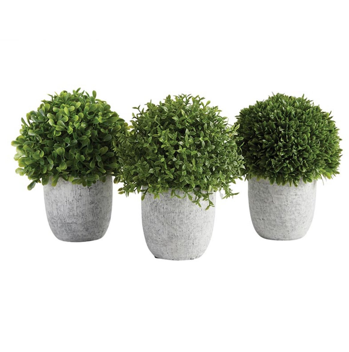 Topiary In Pot - Sassy Inspiration